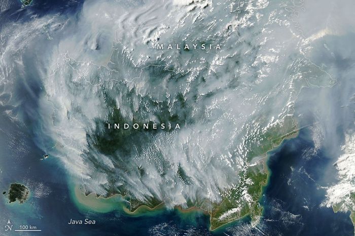 Peatland Fires Darken Skies in Indonesia
