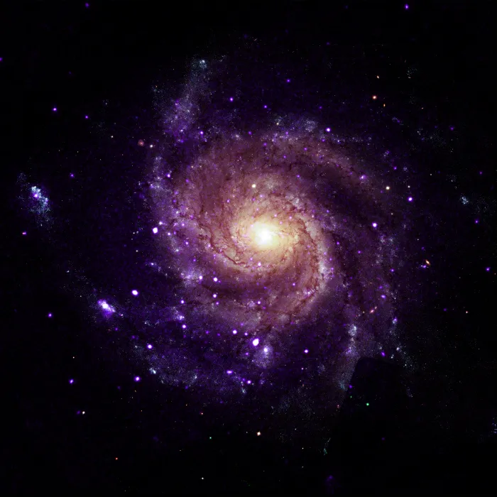 NASA's Chandra Finds Unusual Objects in Pinwheel Galaxy